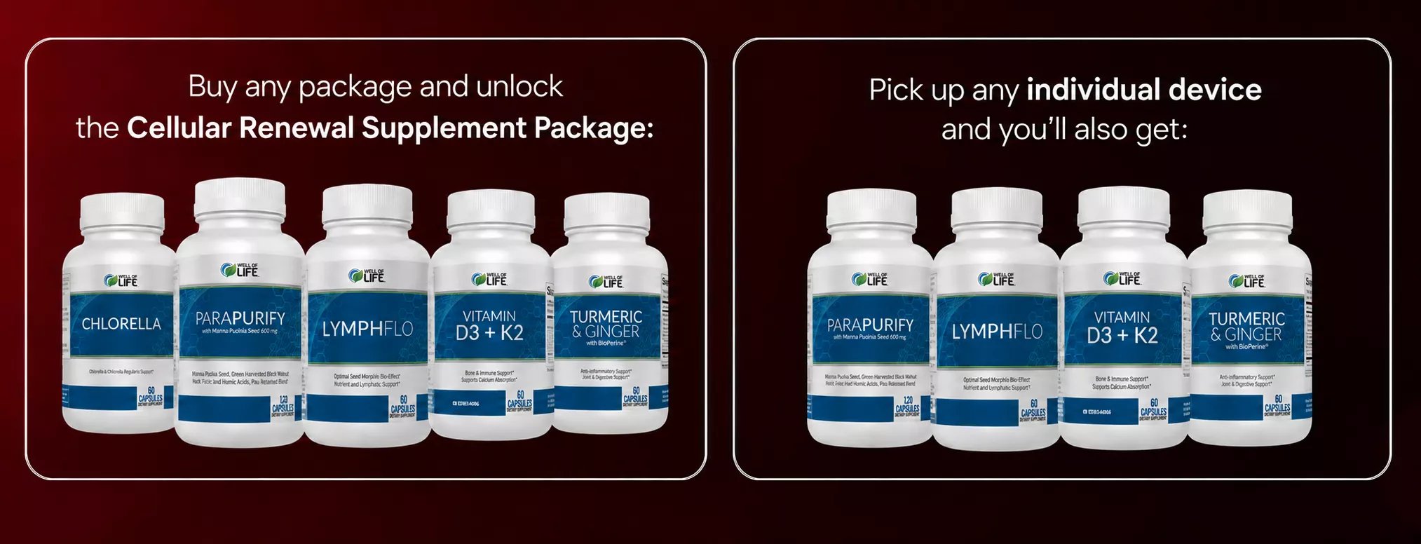Cellular Recharge supplement bundle